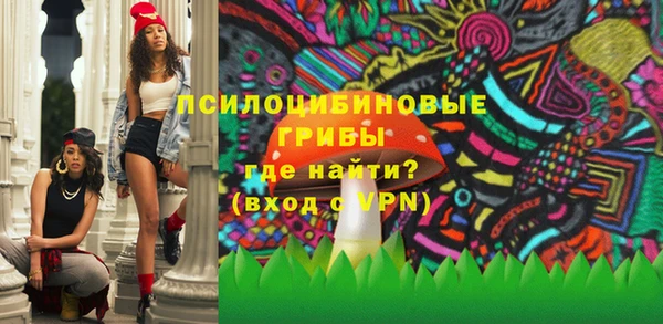 шишки Тавда