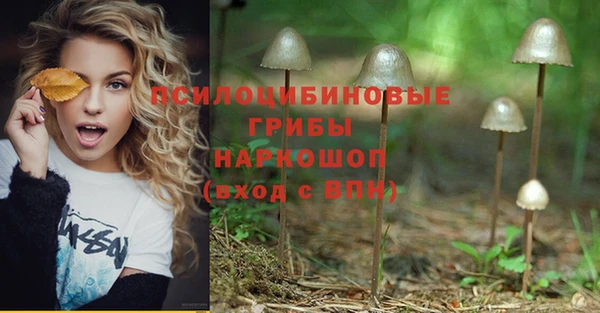 герыч Верея