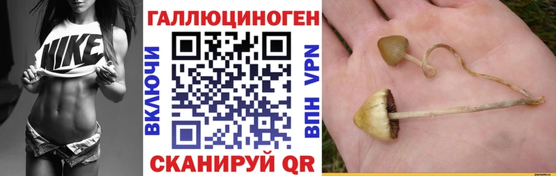 Псилоцибиновые грибы MAGIC MUSHROOMS  как найти закладки  Чудово 